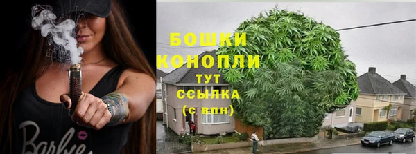 бошки Алексин