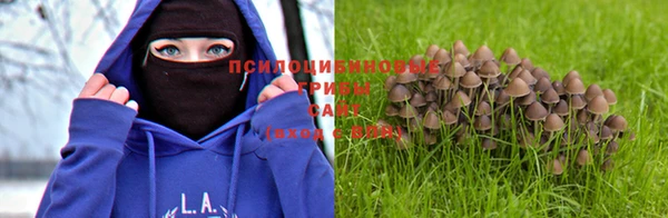 бошки Алексин